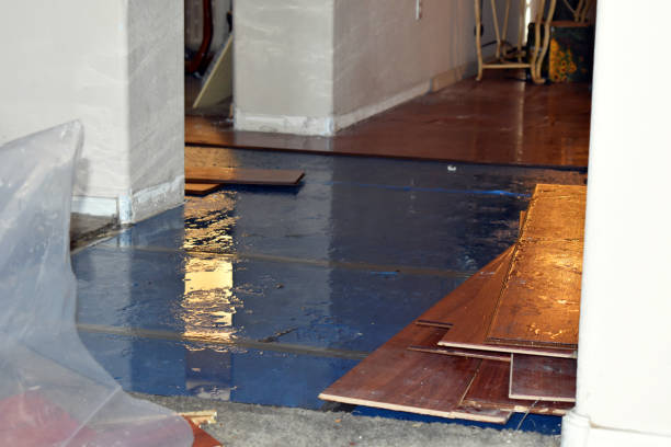 Professional Flood Cleanup technician working in Watertown, MA